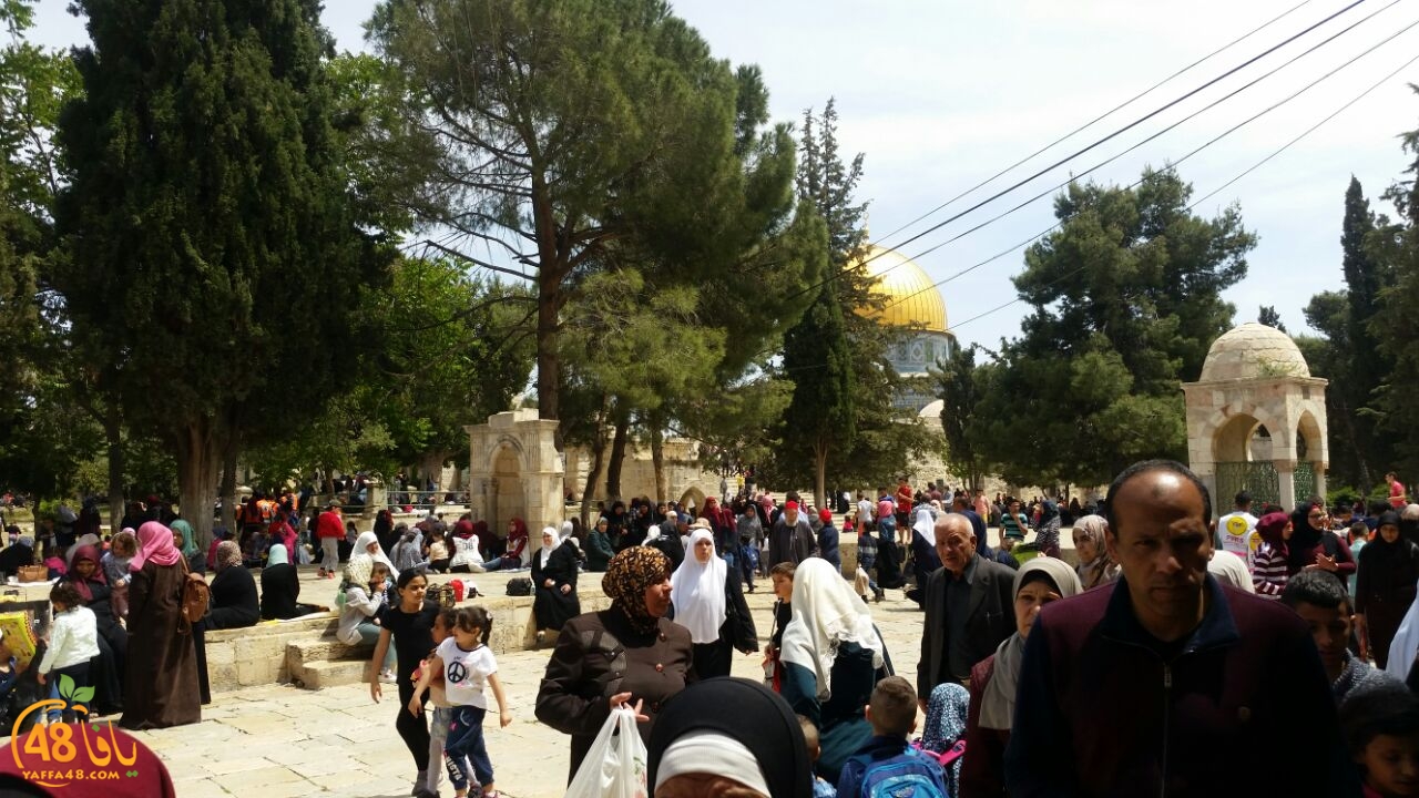 a7bab al aqsaa (8).jpg